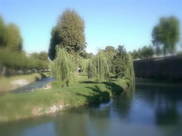 C25